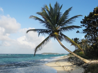 Virgin Islands